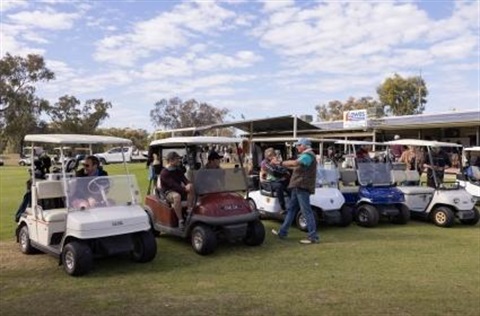 Golf carts