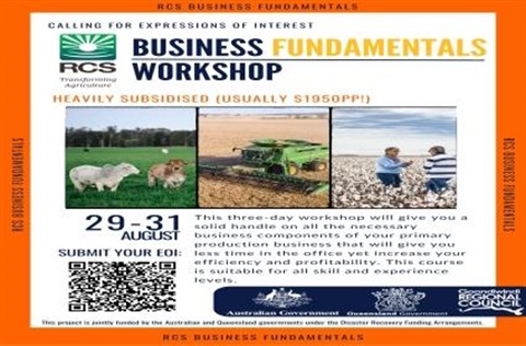 Business fundamentals workshop flyer