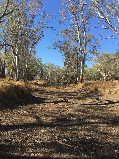 dried waterbed on a farm 