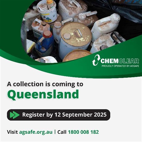 ChemClear Collection Flyer