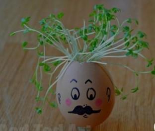 eggshell with face drawn on in texta and sprouts for hair