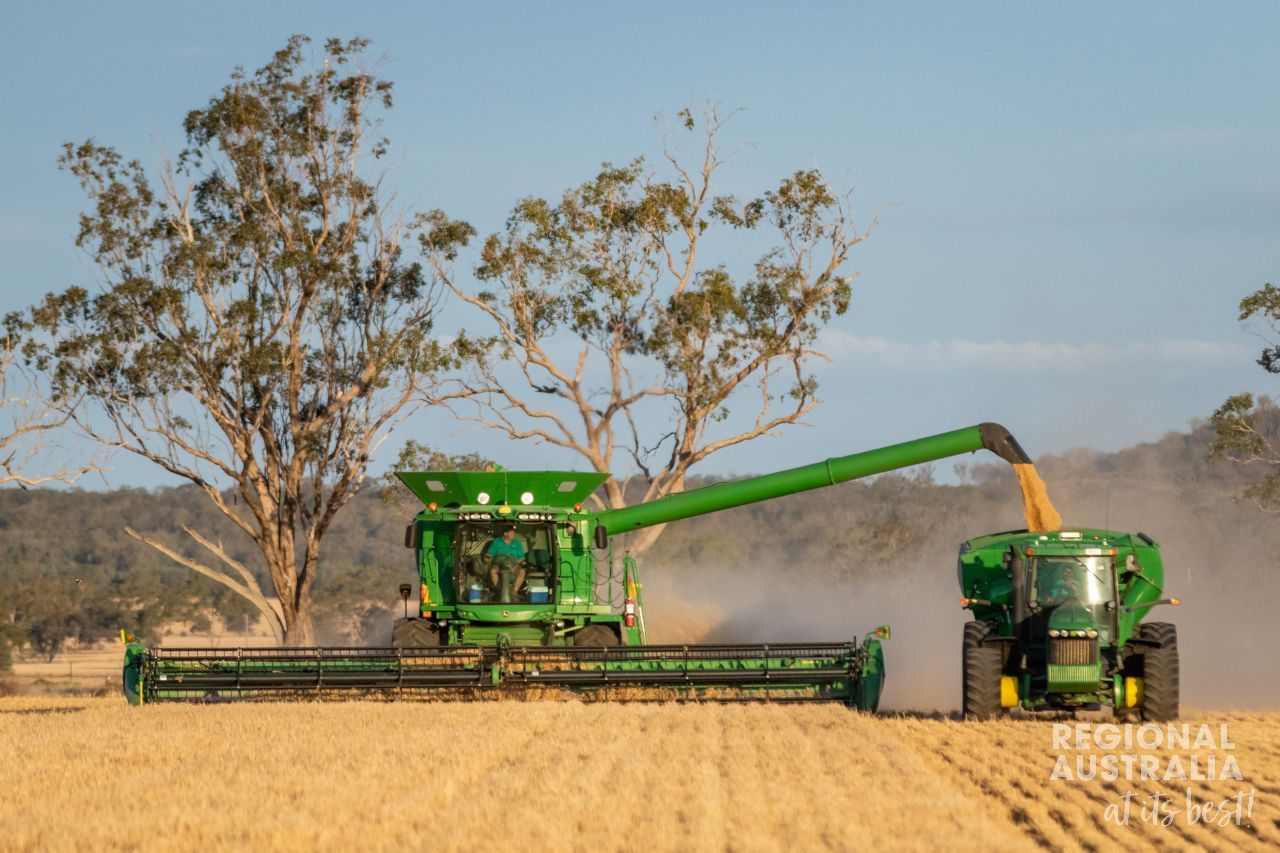 Generic Harvesting - green machinery at work - #5 - Tim Bateup