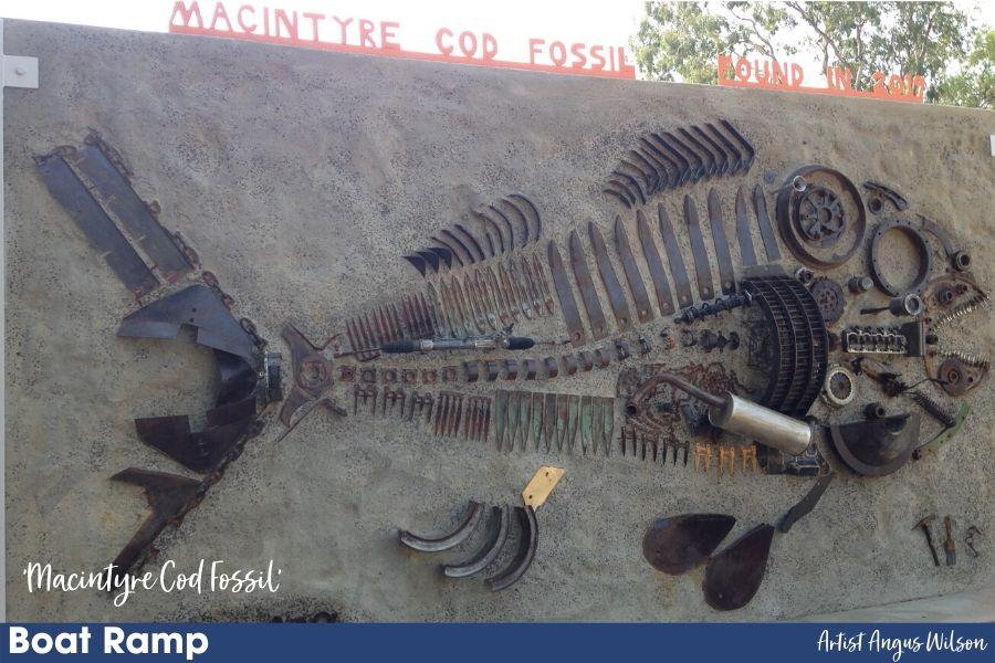 Macintyre Cod Fossil